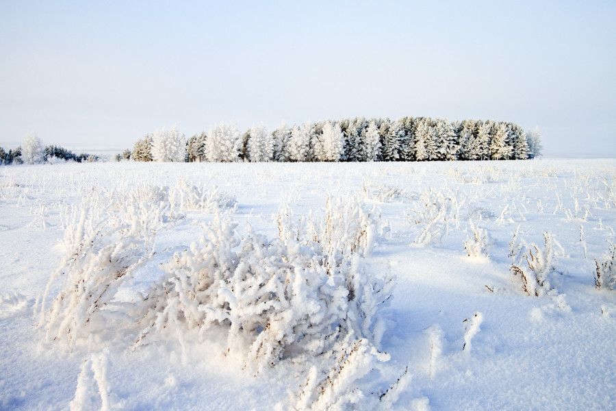 Snow space