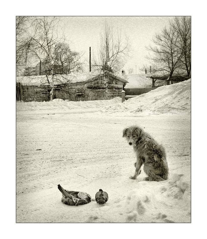Поделись со мной