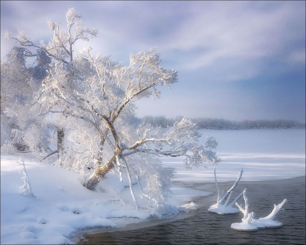 Ажур зимы