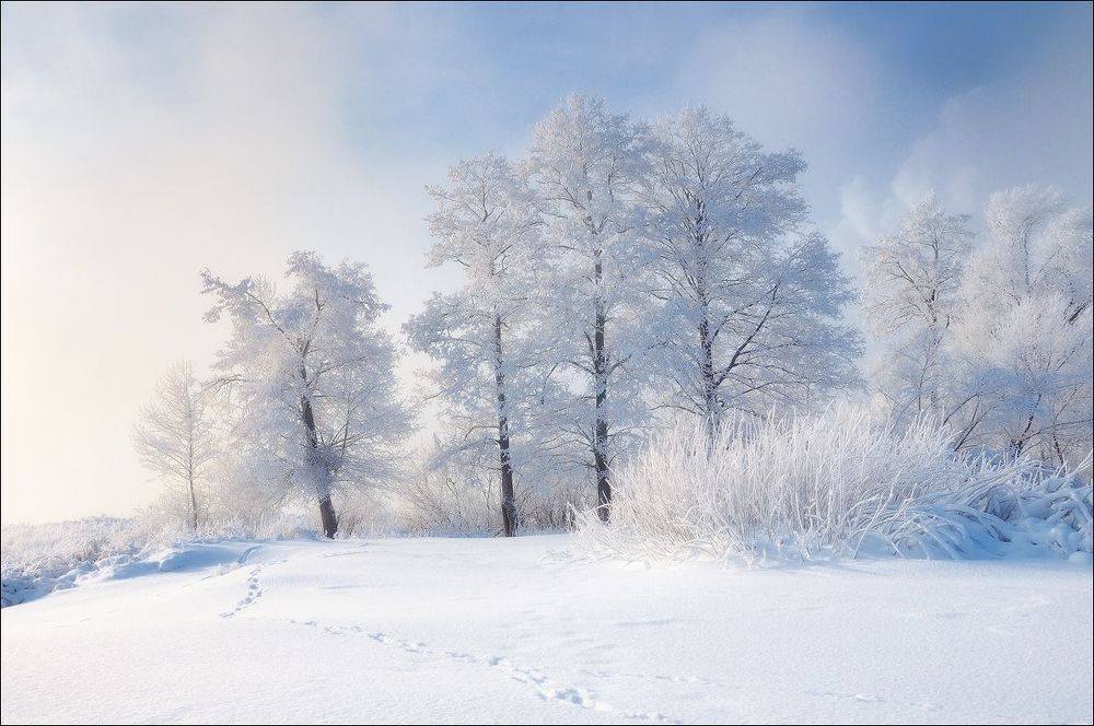 Ажур зимы
