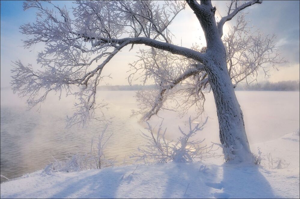 Ажур зимы