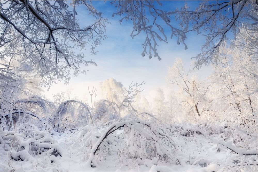 Ажур зимы