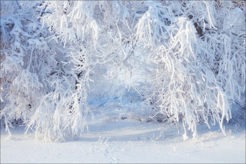 Ажур зимы
