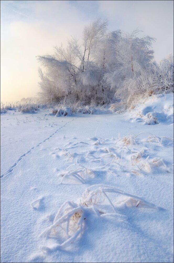 Ажур зимы