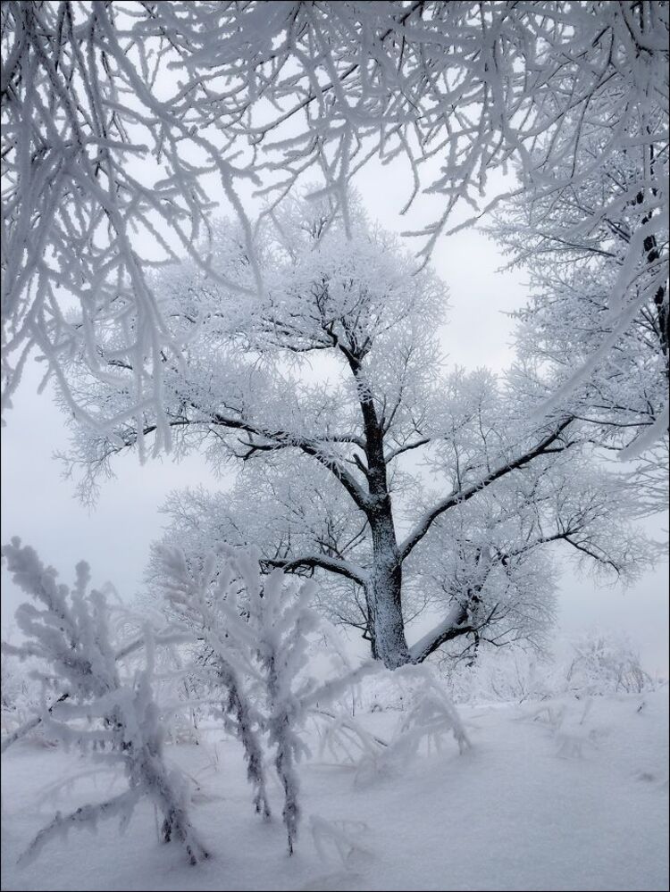 Ажур зимы