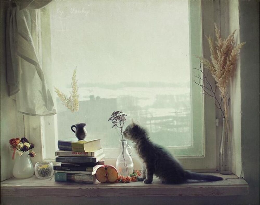 my winter