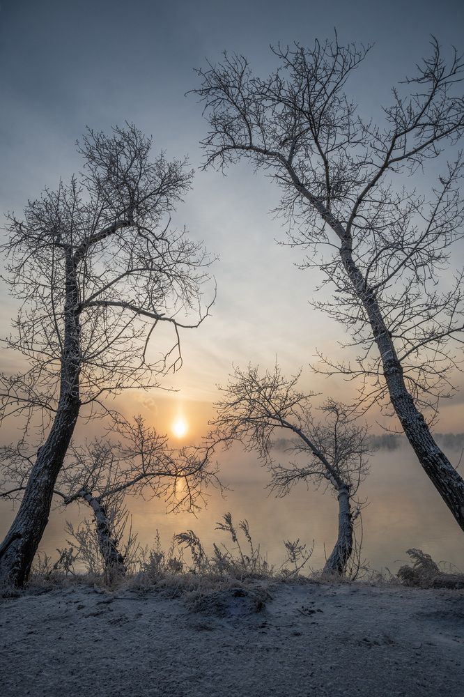 Зимнее утро