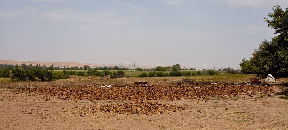 Photo 281869