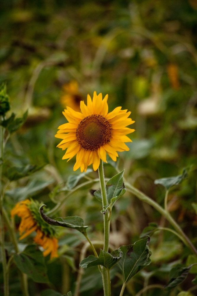 Photo 281873