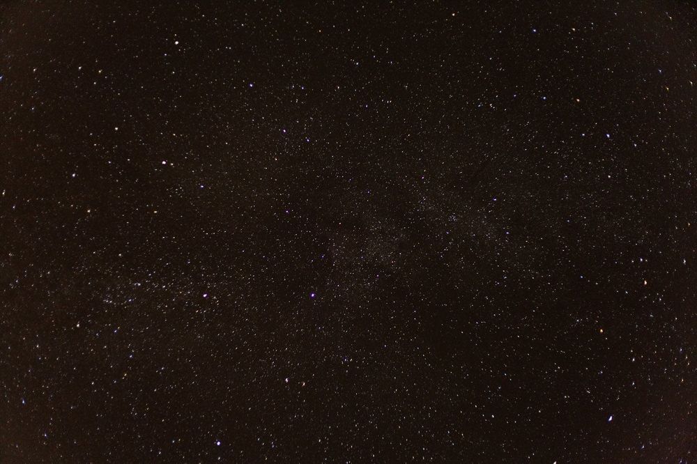 Photo 281874