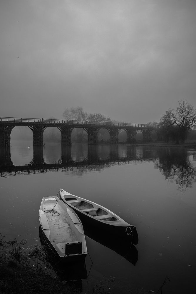Photo 2812315