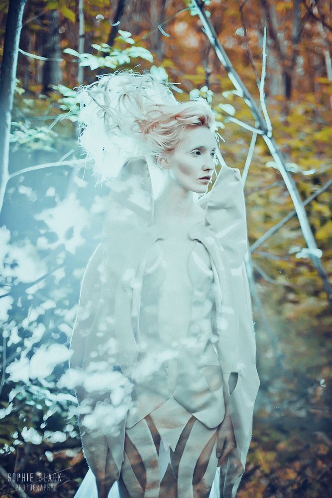 Elfs
