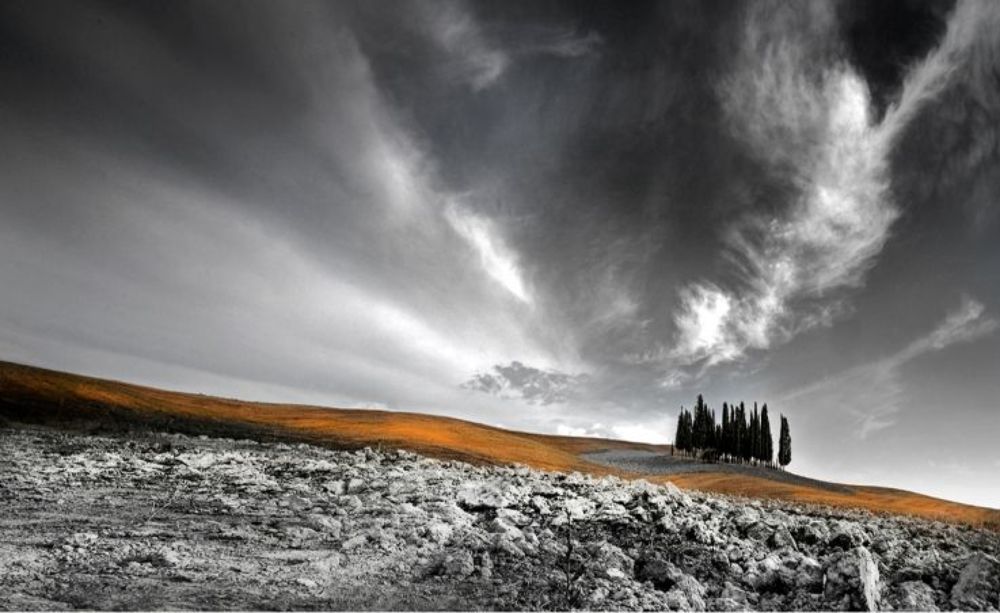 ring of trees / Italy