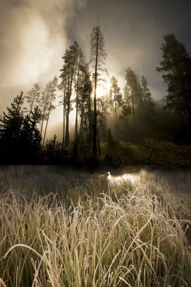 frost and fog / USA