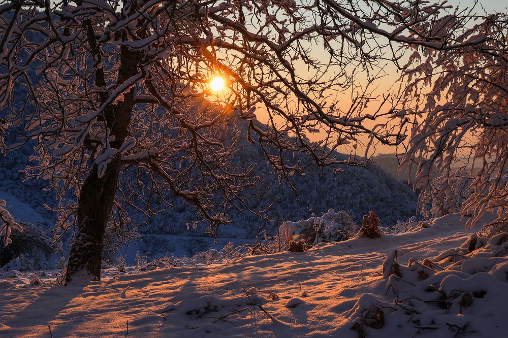 Рассветные зарисовки..