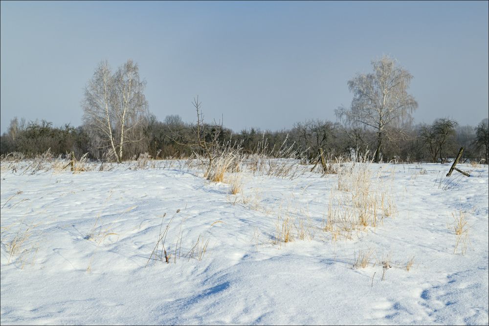 Январское утро в старых садах