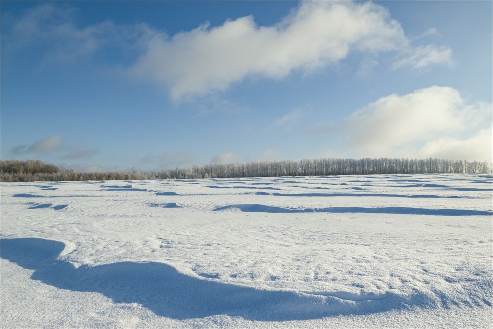 Снежные барханы на полях
