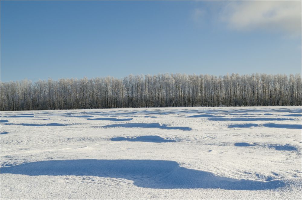Погожий день