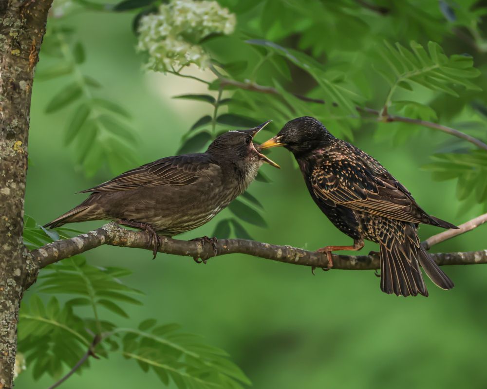 Photo 2836413