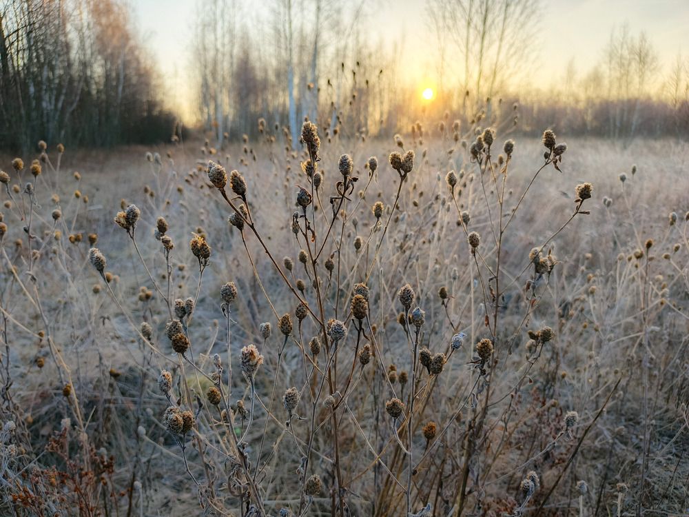Photo 2837375