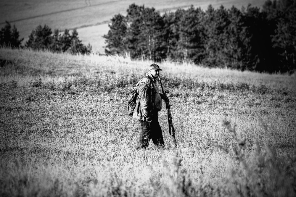 On the way to the pasture 3