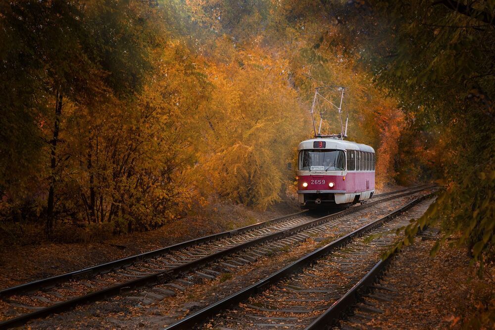 Photo 2837672