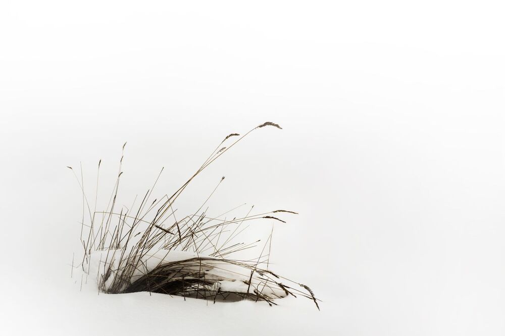 Photo 2837673