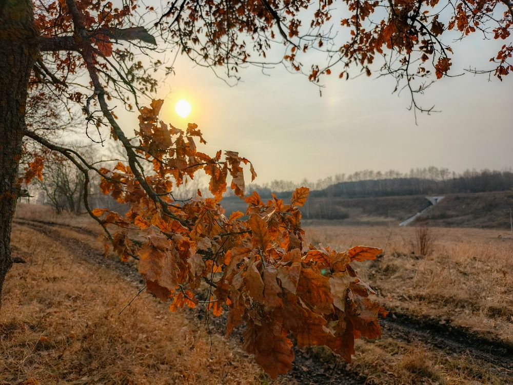 Photo 2837883