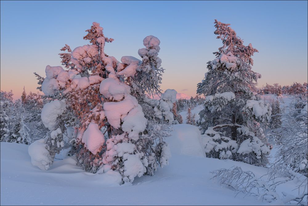 В последних лучах