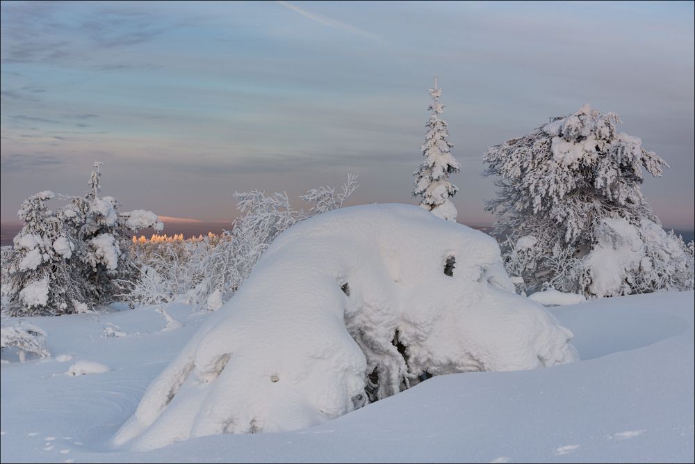 Первые лучи коснулись дальнего холма