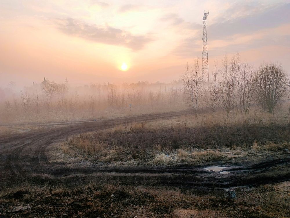 Photo 2838607