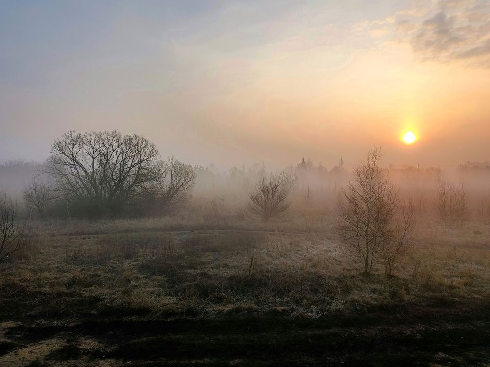 Photo 2838608