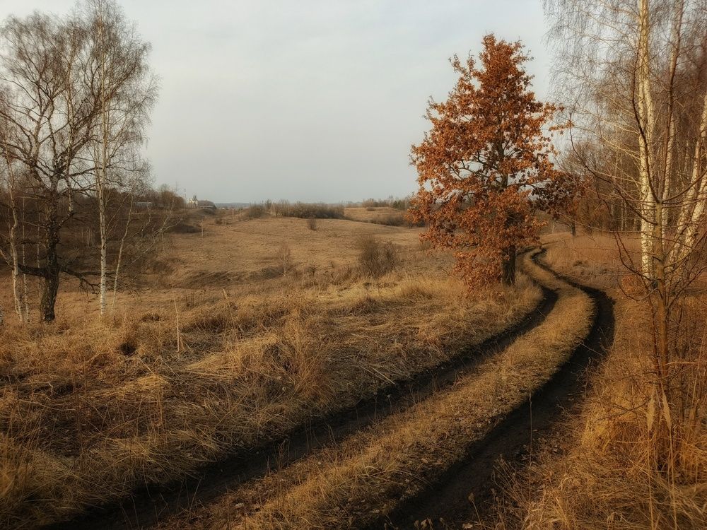 Photo 2838686