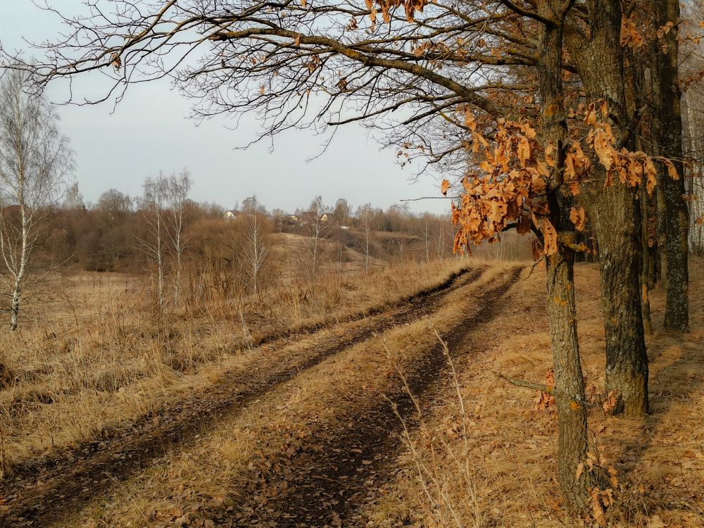 Photo 2838687