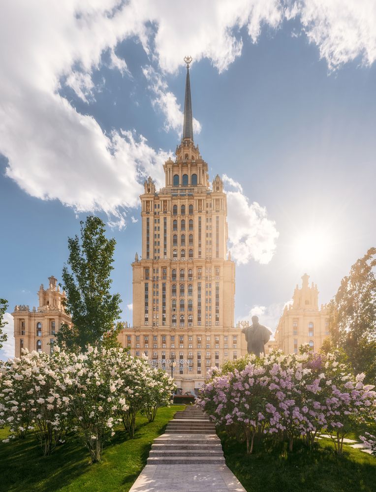 Сирень около гостиницы \"Украина\"