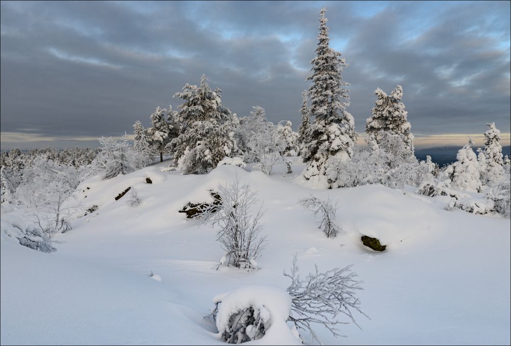 Февральский пейзаж горного леса