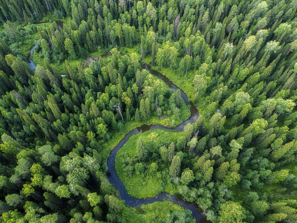 Зеленое море Коми. Нацпарк Койгородский