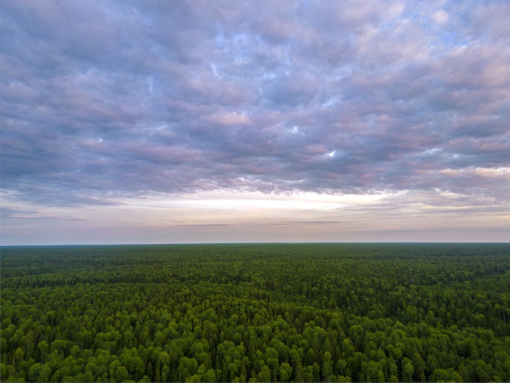 Зеленое море Коми. Нацпарк Койгородский