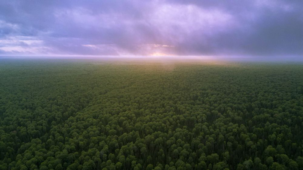 Зеленое море Коми. Нацпарк Койгородский