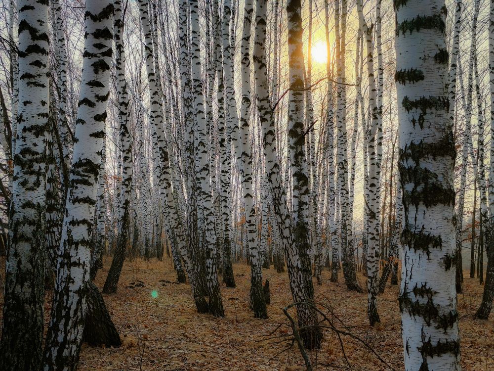 Photo 2838910