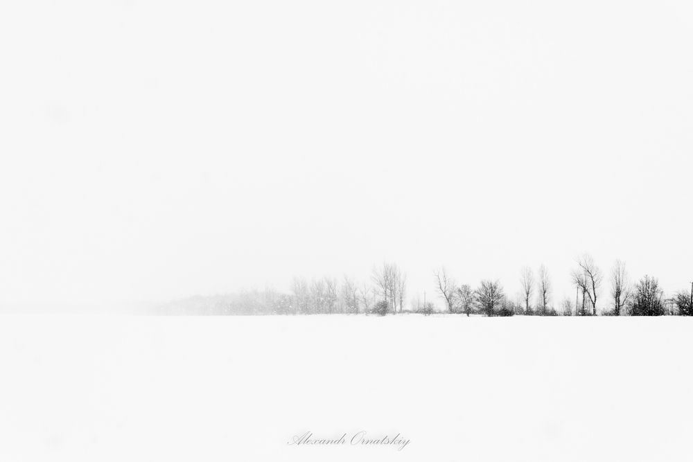 Photo 2839422