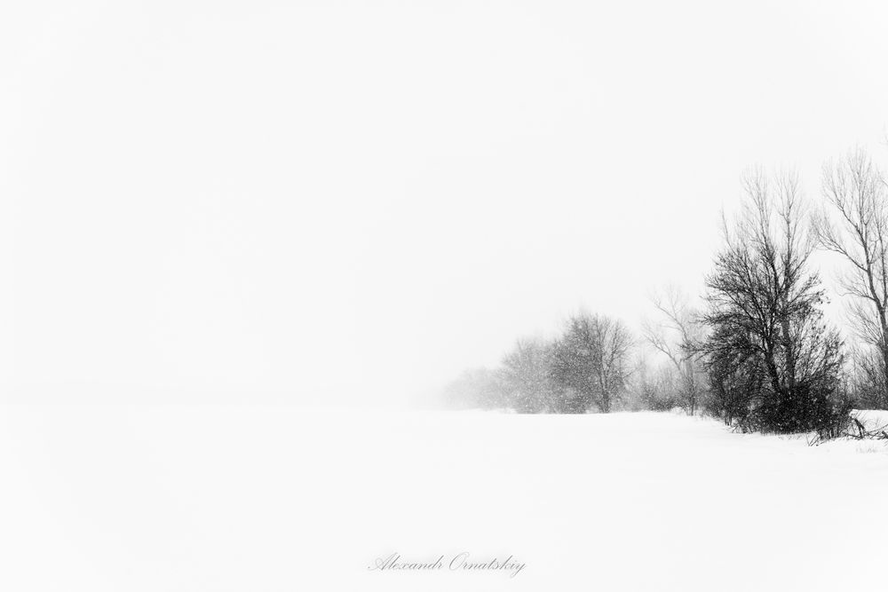 Photo 2839423