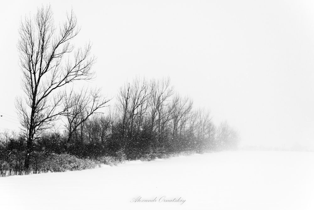 Photo 2839424