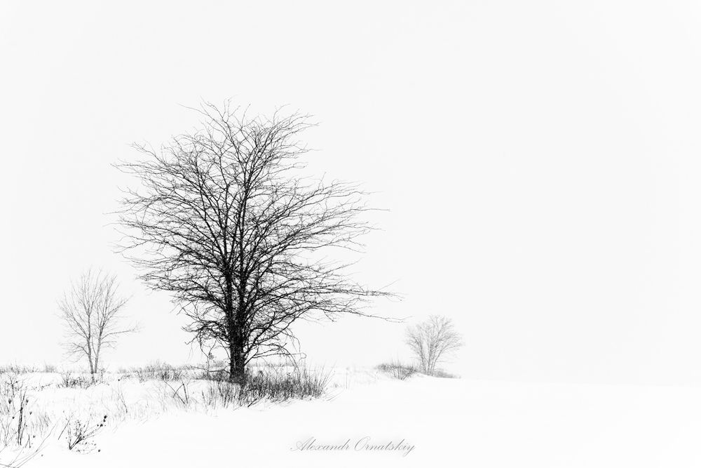 Photo 2839425