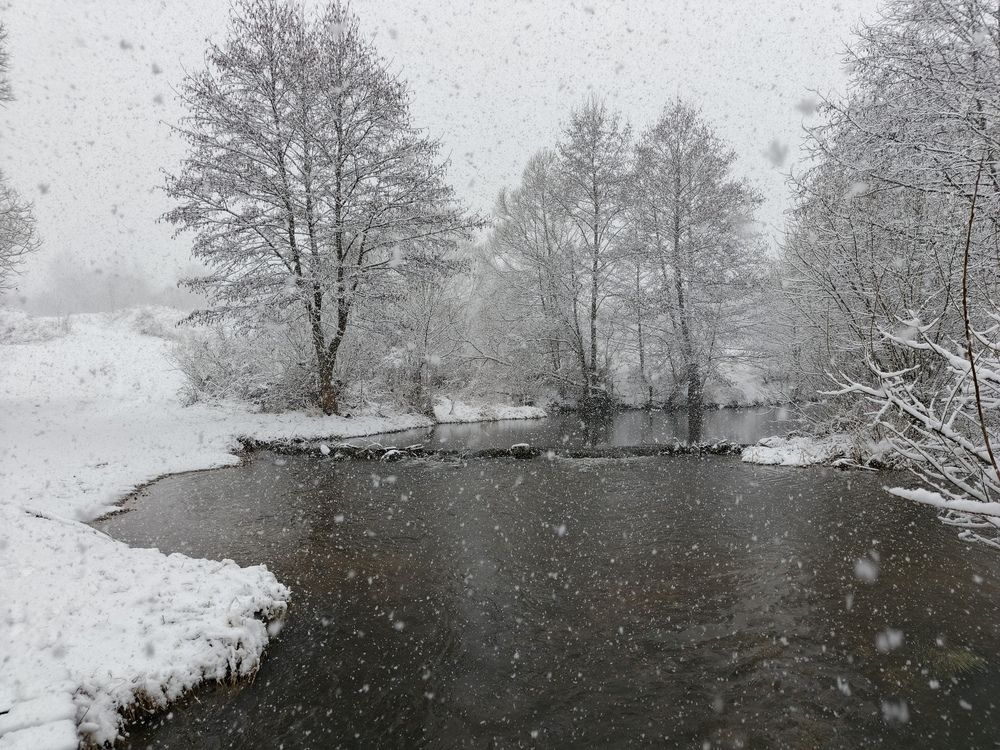 Photo 2839921