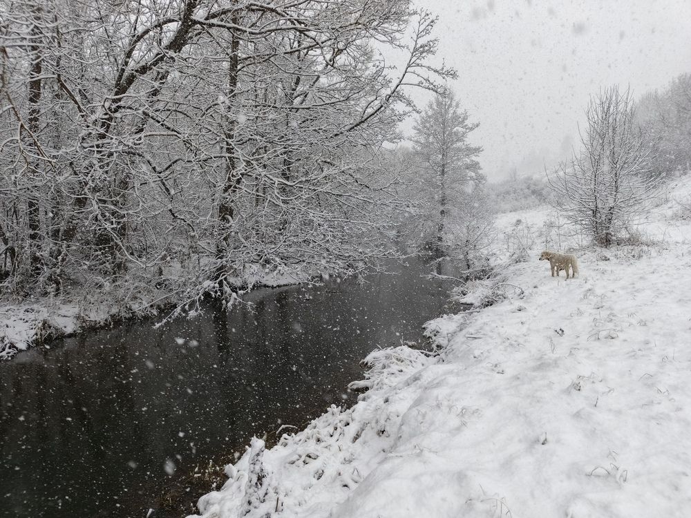 Photo 2839925