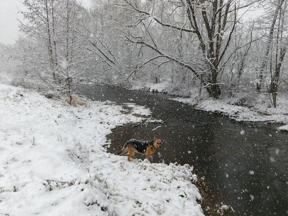 Photo 2839926
