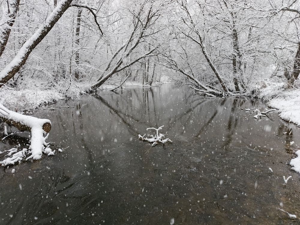 Photo 2839927