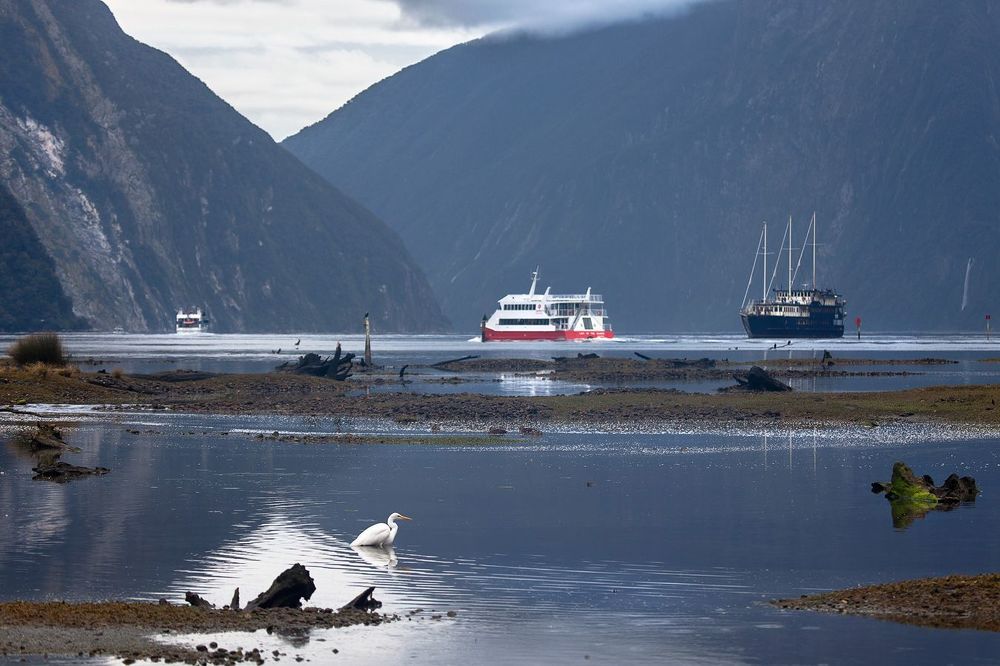 Milford Sound's memorries...