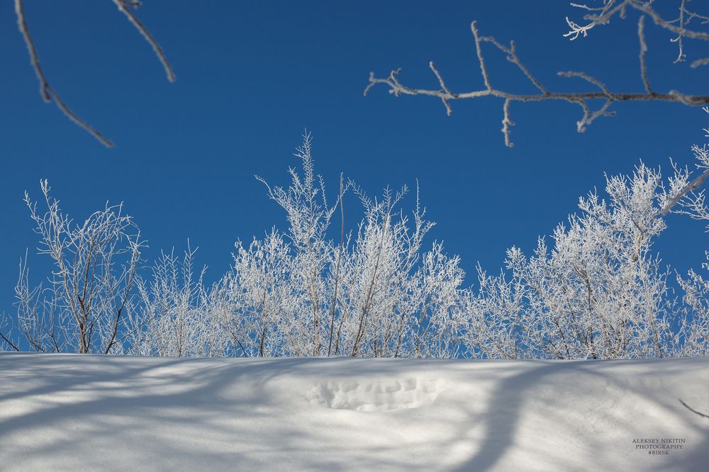 Photo 2840560